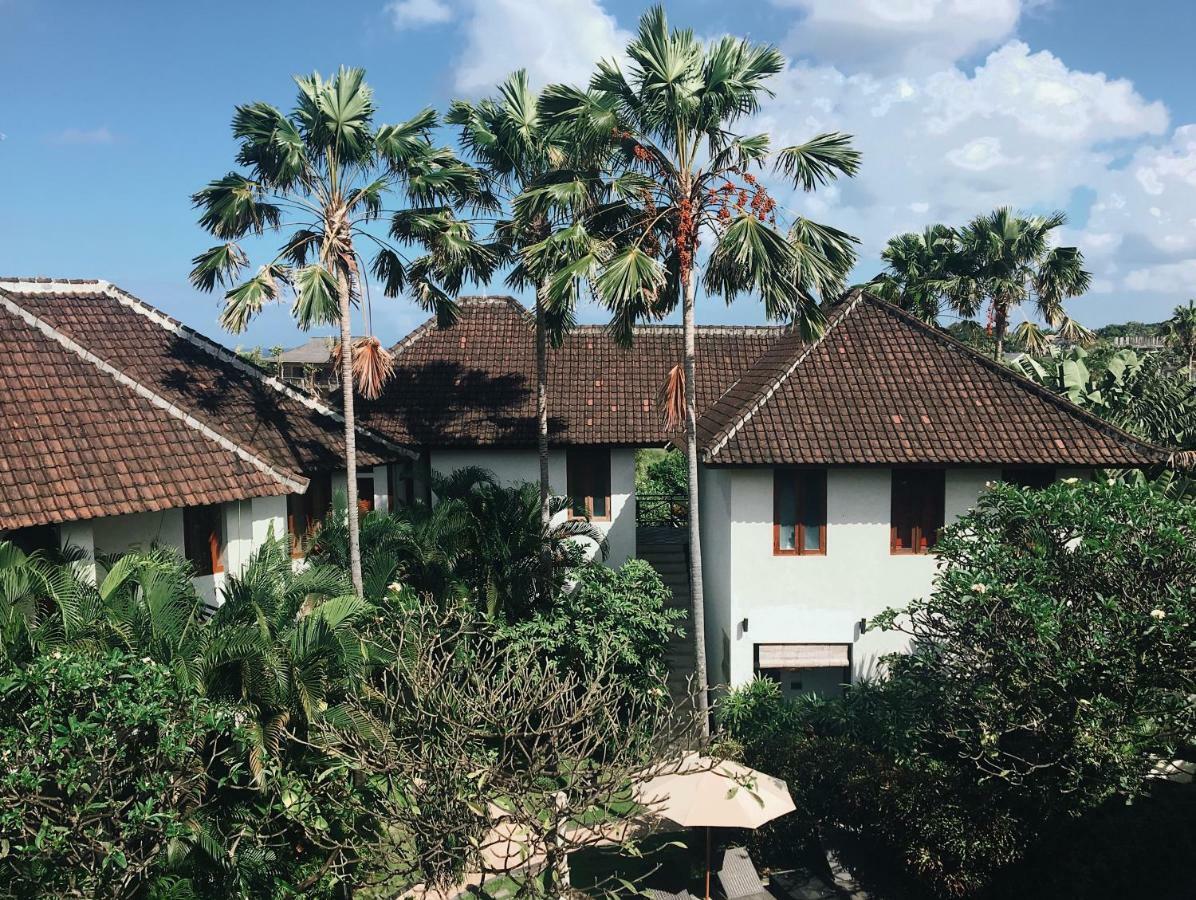 Ecosfera & Canggu (Bali)